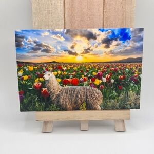4x6 Suri Alpaca Field of Flowers Sunset Landscape‎ Fantasy Oil Painting Print